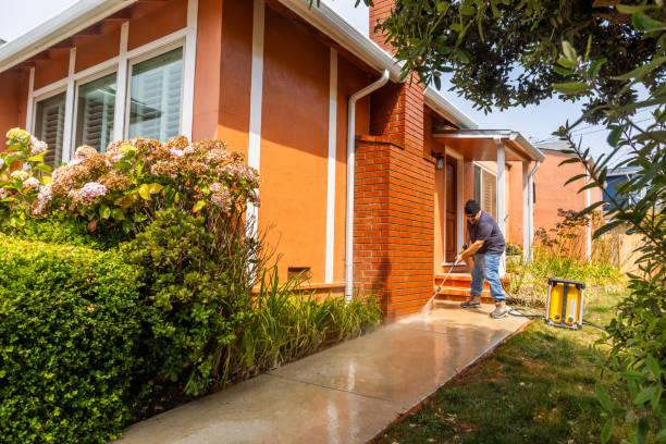 Best Roof Pressure Washing  in Kinnelon, NJ